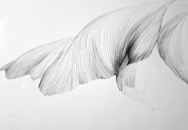 SWAN